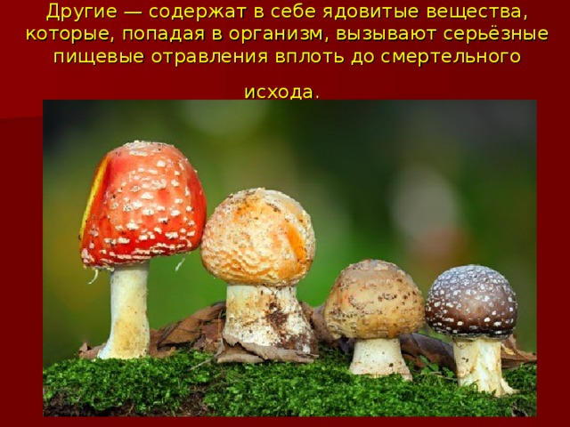 Другие — содержат в себе ядовитые вещества, которые, попадая в организм, вызывают серьёзные пищевые отравления вплоть до смертельного исхода.  