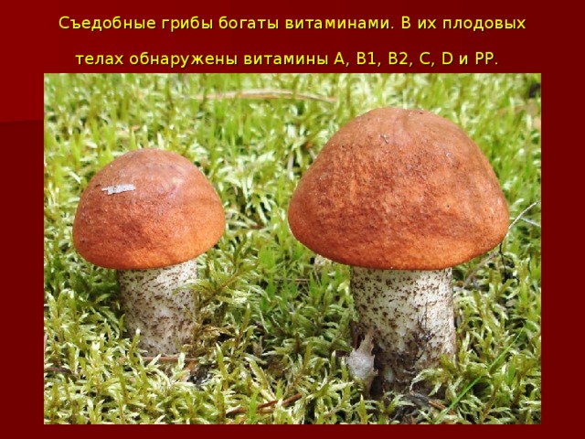 Съедобные грибы богаты витаминами. В их плодовых телах обнаружены витамины А, В1, В2, С, D и РР.  