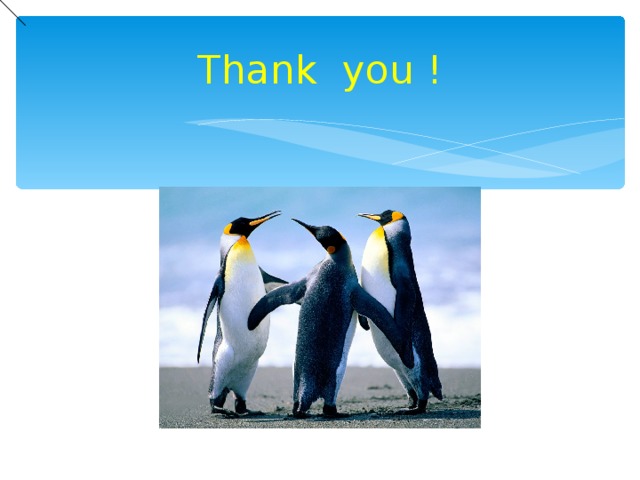 Thank you ! 
