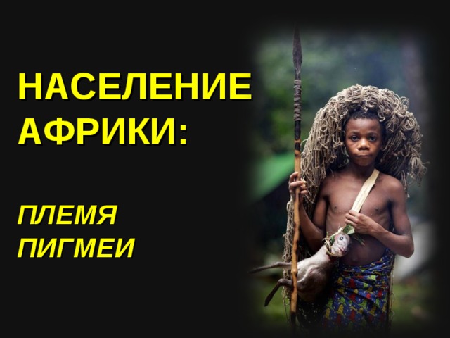 НАСЕЛЕНИЕ АФРИКИ:  ПЛЕМЯ ПИГМЕИ 