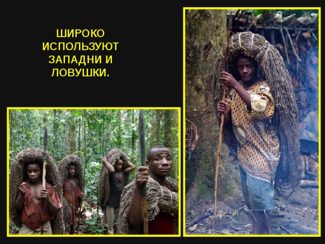 ШИРОКО ИСПОЛЬЗУЮТ ЗАПАДНИ И ЛОВУШКИ. 