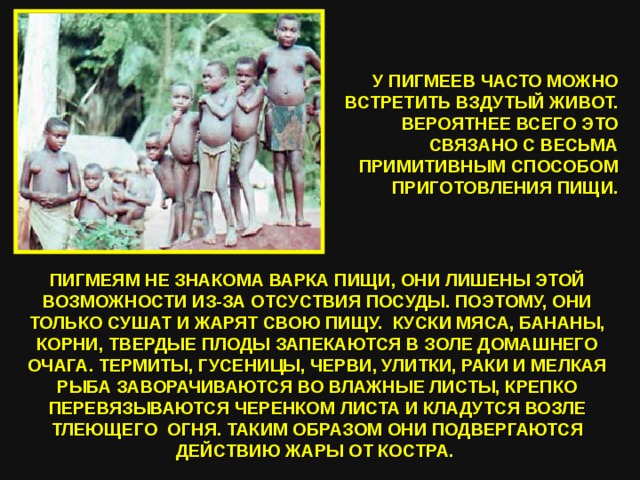   У ПИГМЕЕВ ЧАСТО МОЖНО ВСТРЕТИТЬ ВЗДУТЫЙ ЖИВОТ. ВЕРОЯТНЕЕ ВСЕГО ЭТО СВЯЗАНО С ВЕСЬМА ПРИМИТИВНЫМ СПОСОБОМ ПРИГОТОВЛЕНИЯ ПИЩИ.   ПИГМЕЯМ НЕ ЗНАКОМА ВАРКА ПИЩИ, ОНИ ЛИШЕНЫ ЭТОЙ ВОЗМОЖНОСТИ ИЗ-ЗА ОТСУСТВИЯ ПОСУДЫ. ПОЭТОМУ, ОНИ ТОЛЬКО СУШАТ И ЖАРЯТ СВОЮ ПИЩУ. КУСКИ МЯСА, БАНАНЫ, КОРНИ, ТВЕРДЫЕ ПЛОДЫ ЗАПЕКАЮТСЯ В ЗОЛЕ ДОМАШНЕГО ОЧАГА. ТЕРМИТЫ, ГУСЕНИЦЫ, ЧЕРВИ, УЛИТКИ, РАКИ И МЕЛКАЯ РЫБА ЗАВОРАЧИВАЮТСЯ ВО ВЛАЖНЫЕ ЛИСТЫ, КРЕПКО ПЕРЕВЯЗЫВАЮТСЯ ЧЕРЕНКОМ ЛИСТА И КЛАДУТСЯ ВОЗЛЕ ТЛЕЮЩЕГО ОГНЯ. ТАКИМ ОБРАЗОМ ОНИ ПОДВЕРГАЮТСЯ ДЕЙСТВИЮ ЖАРЫ ОТ КОСТРА.  