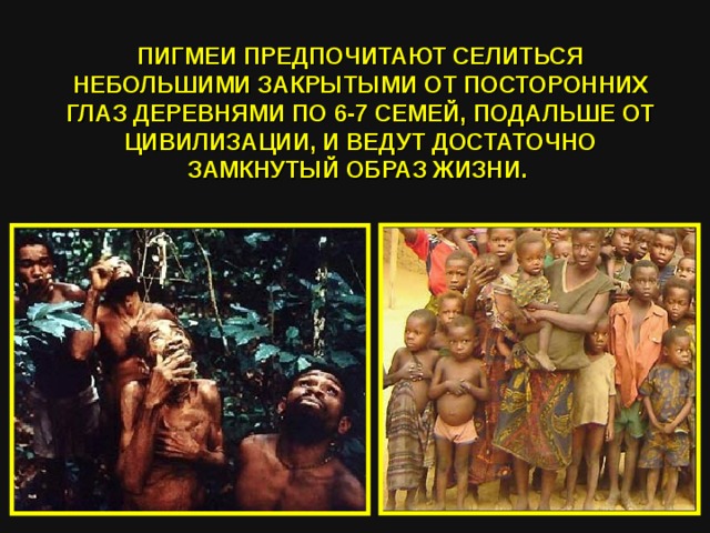 ПИГМЕИ ПРЕДПОЧИТАЮТ СЕЛИТЬСЯ НЕБОЛЬШИМИ ЗАКРЫТЫМИ ОТ ПОСТОРОННИХ ГЛАЗ ДЕРЕВНЯМИ ПО 6-7 СЕМЕЙ, ПОДАЛЬШЕ ОТ ЦИВИЛИЗАЦИИ, И ВЕДУТ ДОСТАТОЧНО ЗАМКНУТЫЙ ОБРАЗ ЖИЗНИ. 