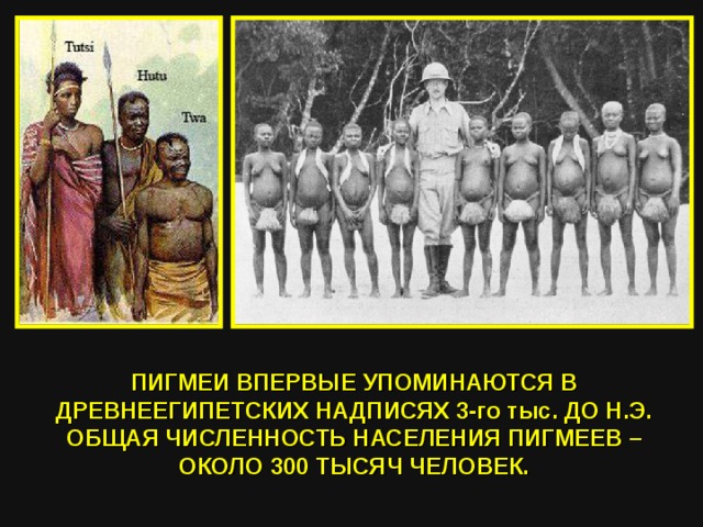 ПИГМЕИ ВПЕРВЫЕ УПОМИНАЮТСЯ В ДРЕВНЕЕГИПЕТСКИХ НАДПИСЯХ 3-го тыс. ДО Н.Э. ОБЩАЯ ЧИСЛЕННОСТЬ НАСЕЛЕНИЯ ПИГМЕЕВ – ОКОЛО 300 ТЫСЯЧ ЧЕЛОВЕК. 