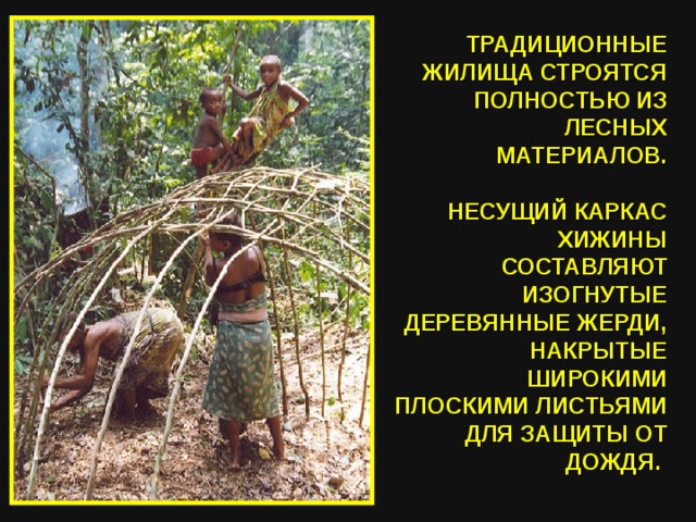 ТРАДИЦИОННЫЕ ЖИЛИЩА СТРОЯТСЯ ПОЛНОСТЬЮ ИЗ ЛЕСНЫХ МАТЕРИАЛОВ.   НЕСУЩИЙ КАРКАС ХИЖИНЫ СОСТАВЛЯЮТ ИЗОГНУТЫЕ ДЕРЕВЯННЫЕ ЖЕРДИ, НАКРЫТЫЕ ШИРОКИМИ ПЛОСКИМИ ЛИСТЬЯМИ ДЛЯ ЗАЩИТЫ ОТ ДОЖДЯ. 
