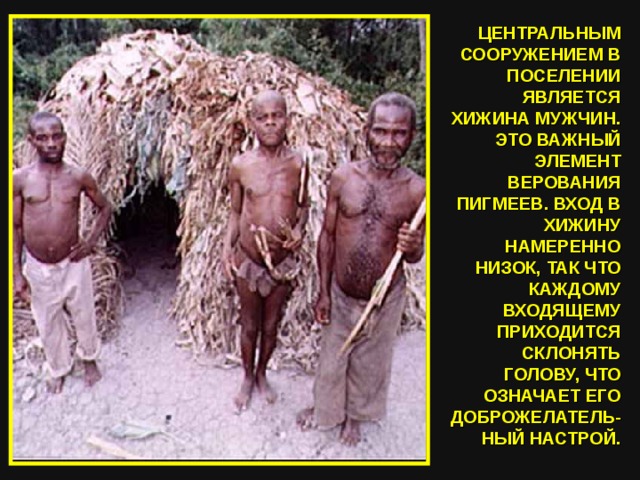 ЦЕНТРАЛЬНЫМ СООРУЖЕНИЕМ В ПОСЕЛЕНИИ ЯВЛЯЕТСЯ ХИЖИНА МУЖЧИН. ЭТО ВАЖНЫЙ ЭЛЕМЕНТ ВЕРОВАНИЯ ПИГМЕЕВ. ВХОД В ХИЖИНУ НАМЕРЕННО НИЗОК, ТАК ЧТО КАЖДОМУ ВХОДЯЩЕМУ ПРИХОДИТСЯ СКЛОНЯТЬ ГОЛОВУ, ЧТО ОЗНАЧАЕТ ЕГО ДОБРОЖЕЛАТЕЛЬ-НЫЙ НАСТРОЙ. 