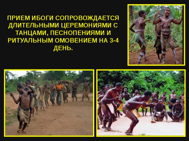 ПРИЕМ ИБОГИ СОПРОВОЖДАЕТСЯ ДЛИТЕЛЬНЫМИ ЦЕРЕМОНИЯМИ С ТАНЦАМИ, ПЕСНОПЕНИЯМИ И РИТУАЛЬНЫМ ОМОВЕНИЕМ НА 3-4 ДЕНЬ. 