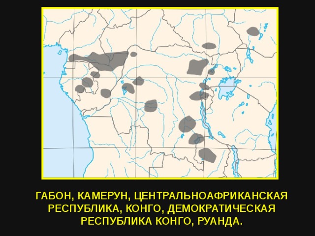 ГАБОН, КАМЕРУН, ЦЕНТРАЛЬНОАФРИКАНСКАЯ РЕСПУБЛИКА, КОНГО, ДЕМОКРАТИЧЕСКАЯ РЕСПУБЛИКА КОНГО, РУАНДА. 