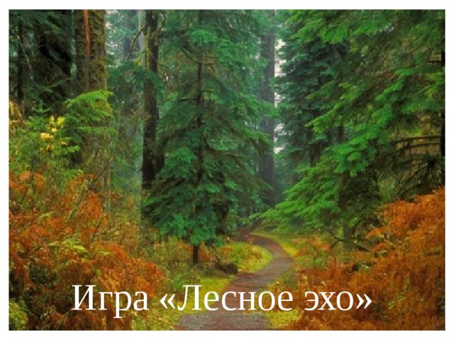 Игра «Лесное эхо» 
