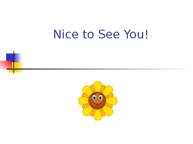 Nice to See You! 