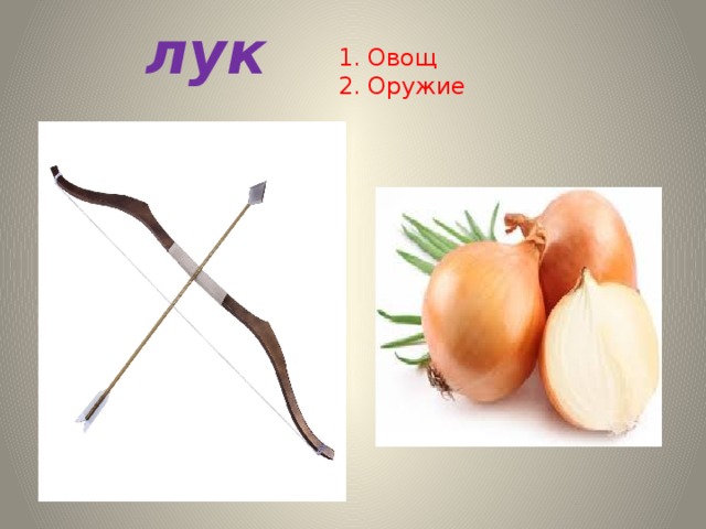 лук 1. Овощ 2. Оружие 