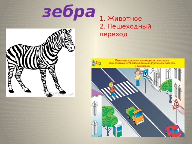 зебра 1. Животное 2. Пешеходный переход 