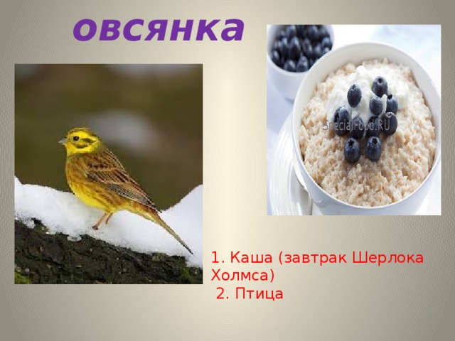 овсянка 1. Каша (завтрак Шерлока Холмса)  2. Птица 