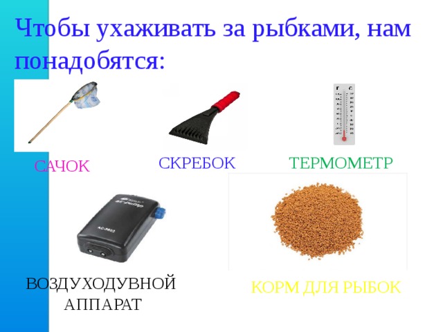 Чтобы ухаживать за рыбками, нам понадобятся: СКРЕБОК ТЕРМОМЕТР САЧОК ВОЗДУХОДУВНОЙ АППАРАТ КОРМ ДЛЯ РЫБОК  