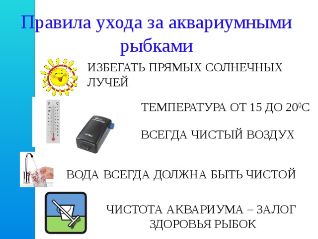 Правила ухода за аквариумными рыбками ИЗБЕГАТЬ ПРЯМЫХ СОЛНЕЧНЫХ ЛУЧЕЙ ТЕМПЕРАТУРА ОТ 15 ДО 20 0 С ВСЕГДА ЧИСТЫЙ ВОЗДУХ ВОДА ВСЕГДА ДОЛЖНА БЫТЬ ЧИСТОЙ ЧИСТОТА АКВАРИУМА – ЗАЛОГ ЗДОРОВЬЯ РЫБОК 