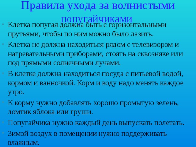 Правила ухода за волнистыми попугайчиками Клетка попугая должна быть с горизонтальными прутьями, чтобы по ним можно было лазить. Клетка не должна находиться рядом с телевизором и нагревательными приборами, стоять на сквозняке или под прямыми солнечными лучами. В клетке должна находиться посуда с питьевой водой, кормом и ванночкой. Корм и воду надо менять каждое утро. К корму нужно добавлять хорошо промытую зелень, ломтик яблока или груши. Попугайчика нужно каждый день выпускать полетать. Зимой воздух в помещении нужно поддерживать влажным. 