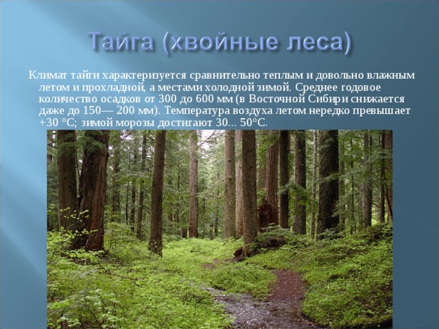  Климат тайги характеризуется сравнительно теплым и довольно влажным летом и прохладной, а местами холодной зимой. Среднее годовое количество осадков от 300 до 600 мм (в Восточной Сибири снижается даже до 150— 200 мм). Температура воздуха летом нередко превышает +30 °С; зимой морозы достигают 30... 50°С. 