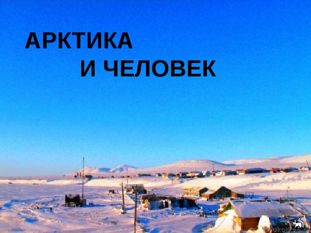     АРКТИКА И ЧЕЛОВЕК 