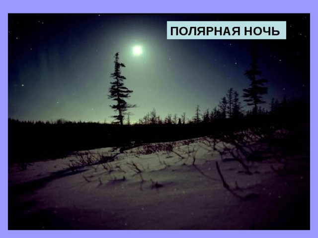 ПОЛЯРНАЯ НОЧЬ 