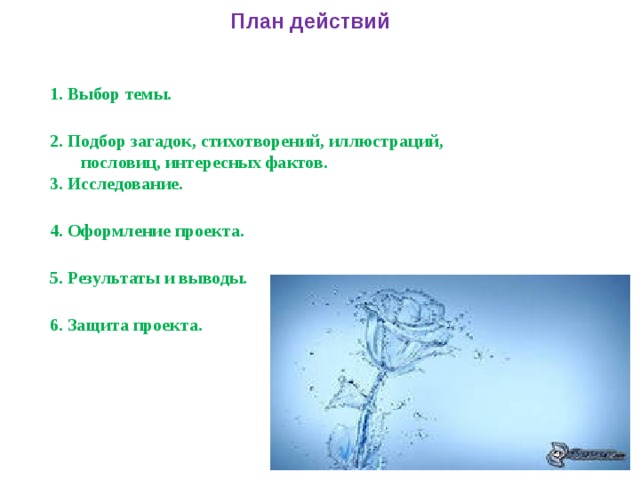  План действий    1. Выбор темы.   2. Подбор загадок, стихотворений, иллюстраций,  пословиц, интересных фактов.  3. Исследование.   4. Оформление проекта.   5. Результаты и выводы.   6. Защита проекта.  