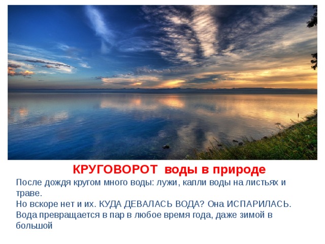  КРУГОВОРОТ  воды в природе После дождя кругом много воды: лужи, капли воды на листьях и траве. Но вскоре нет и их. КУДА ДЕВАЛАСЬ ВОДА? Она ИСПАРИЛАСЬ. Вода превращается в пар в любое время года, даже зимой в большой 