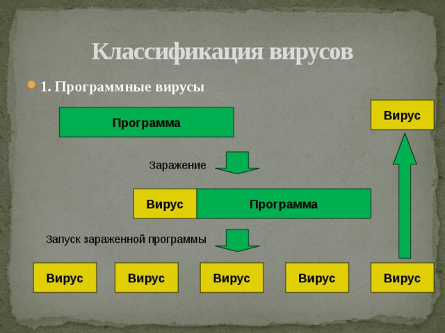 Классификация вирусов 1. Программные вирусы Вирус Программа Заражение Программа Вирус Запуск зараженной программы Вирус Вирус Вирус Вирус Вирус 