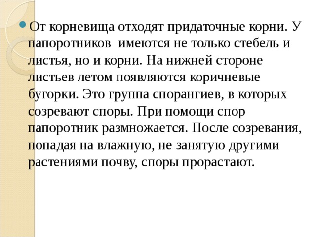 От корневища отходят придаточные корни. У папоротников имеются не только стебель и листья, но и корни. На нижней стороне листьев летом появляются коричневые бугорки. Это группа спорангиев, в которых созревают споры. При помощи спор папоротник размножается. После созревания, попадая на влажную, не занятую другими растениями почву, споры прорастают. 