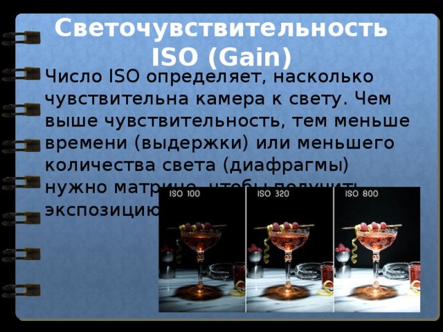 Светочувствительность ISO (Gain) Число ISO определяет, насколько чувствительна камера к свету. Чем выше чувствительность, тем меньше времени (выдержки) или меньшего количества света (диафрагмы) нужно матрице, чтобы получить экспозицию. 
