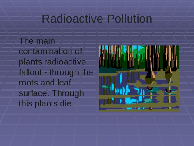 Radioactive  Pollution  The main contamination of plants radioactive fallout - through the roots and leaf surface. Through this plants die. 