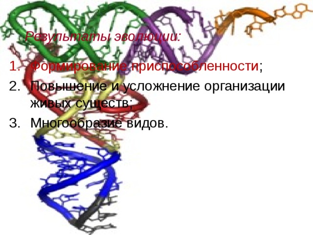 Результаты эволюции: Формирование приспособленности ; Повышение и усложнение организации живых существ; Многообразие видов. 