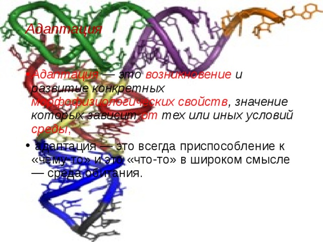 Адаптация   Адаптация — это возникновение и развитие конкретных морфофизиологических свойств , значение которых зависит от тех или иных условий среды ,   адаптация — это всегда приспособление к «чему-то» и это «что-то» в широком смысле — среда обитания. 