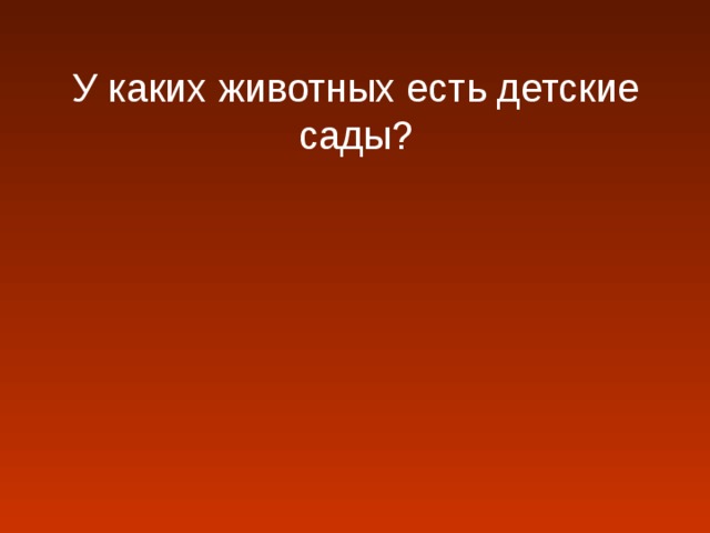 У каких животных есть детские сады?