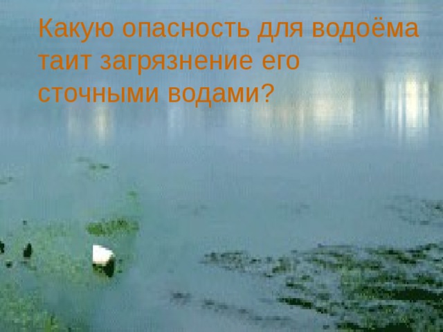 Какую опасность для водоёма таит загрязнение его сточными водами? Какую опасность для водоёма таит загрязнение его сточными водами?