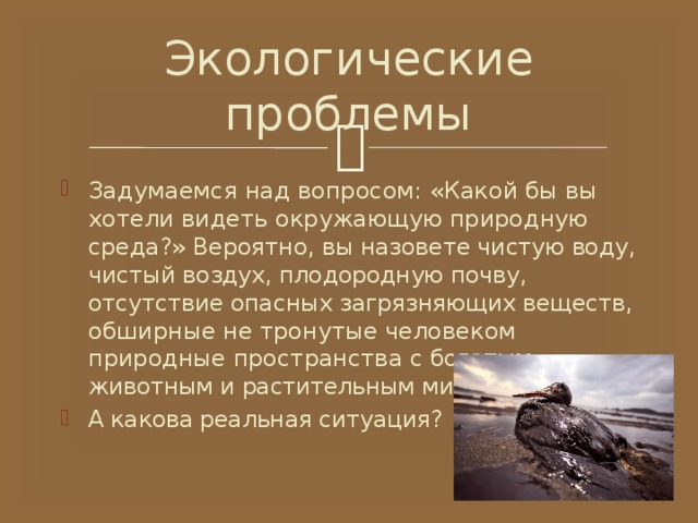 Экологические проблемы Задумаемся над вопросом: «Какой бы вы хотели видеть окружающую природ­ ную среда?» Вероятно, вы назовете чистую воду, чистый воздух, плодо­родную почву, отсутствие опасных загрязняющих веществ, обширные не тронутые человеком природные пространства с богатым животным и растительным миром. А какова реальная ситуация? 