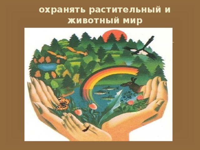охранять растительный и животный мир 