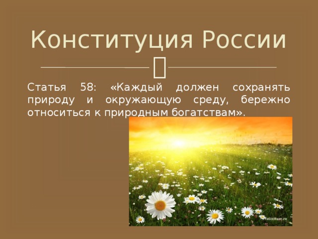 Конституция России Статья 58: «Каждый должен сохранять природу и окружающую среду, бережно относиться к природным богатствам». 