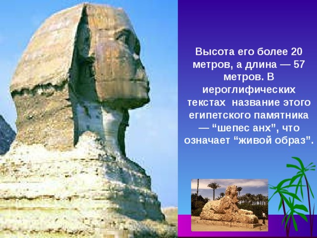 Высота его более 20 метров, а длина — 57 метров. В иероглифических текстах название этого египетского памятника — “шепес анх”, что означает “живой образ”. 