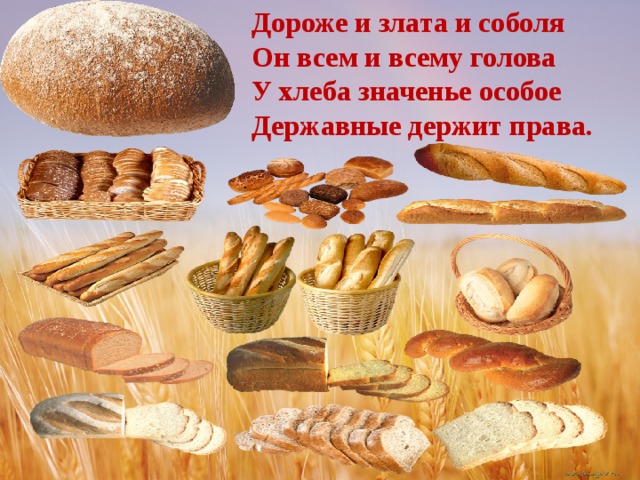 Дороже и злата и соболя Он всем и всему голова У хлеба значенье особое Державные держит права. 