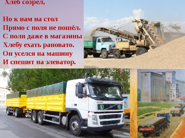  Хлеб созрел,  Но к нам на стол  Прямо с поля не пошёл.  С поля даже в магазины  Хлебу ехать рановато.  Он уселся на машину  И спешит на элеватор. 