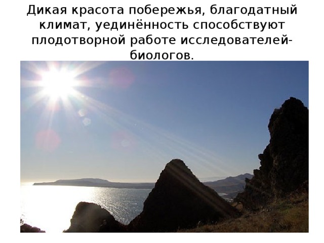 Дикая красота побережья, благодатный климат, уединённость способствуют плодотворной работе исследователей-биологов. 