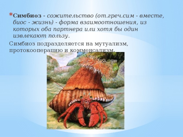 Симбиоз - сожительство (от.греч.сим - вместе, биос - жизнь) - форма взаимоотношения, из которых оба партнера или хотя бы один извлекают пользу. Симбиоз подразделяется на мутуализм, протокооперацию и комменсализм. 