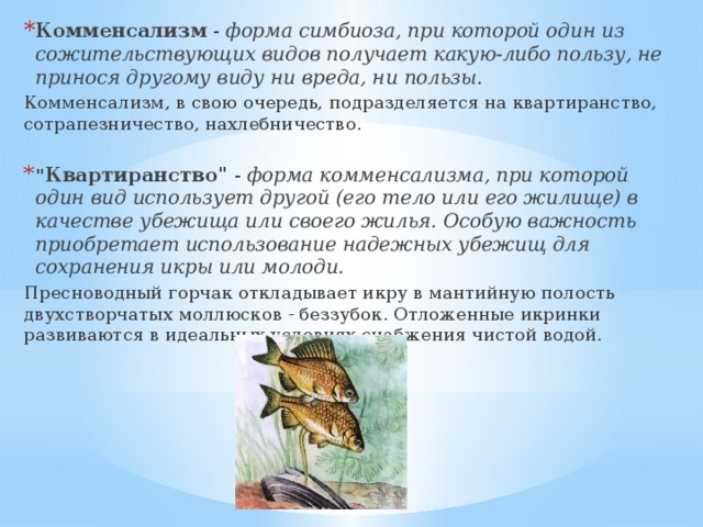 Комменсализм - форма симбиоза, при которой один из сожительствующих видов получает какую-либо пользу, не принося другому виду ни вреда, ни пользы. Комменсализм, в свою очередь, подразделяется на квартиранство, сотрапезничество, нахлебничество. 