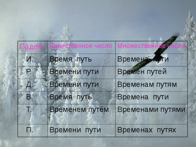 Паде ж Единственное число  И. Множественное число Время путь  Р. Времени пути Времена пути  Д.  В. Времени пути Времён путей Время путь Временам путям  Т. Времена пути Временем путём  П. Времени пути Временами путями Временах путях 
