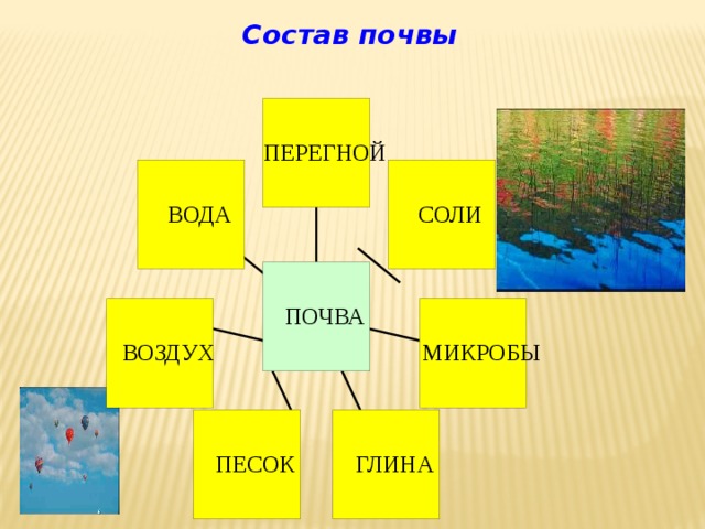 Состав почвы 