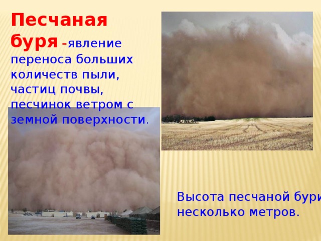 Песчаная буря – явление переноса больших количеств пыли, частиц почвы, песчинок ветром с земной поверхности . Высота песчаной бури несколько метров. 