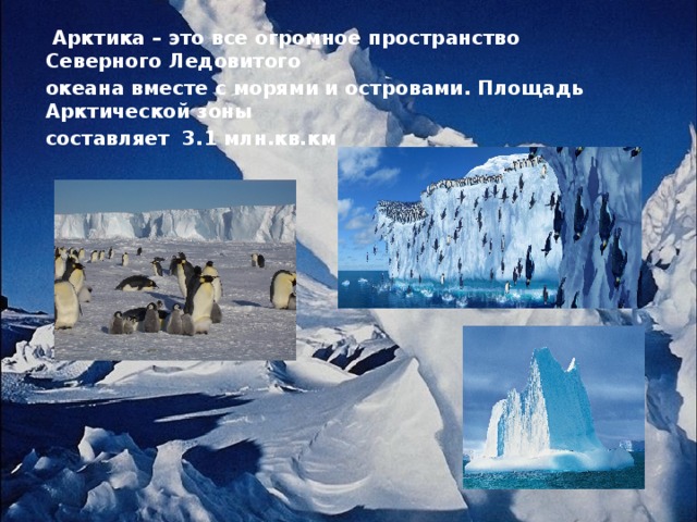  Арктика – это все огромное пространство Северного Ледовитого океана вместе с морями и островами. Площадь Арктической зоны составляет 3.1 млн.кв.км  