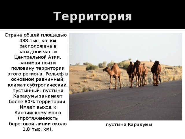 Территория Страна общей площадью 488 тыс. кв. км расположена в западной части Центральной Азии, занимая почти половину территории этого региона. Рельеф в основном равнинный, климат субтропический, пустынный: пустыня Каракумы занимает более 80% территории. Имеет выход к Каспийскому морю (протяженность береговой линии около 1,8 тыс. км). пустыня Каракумы 