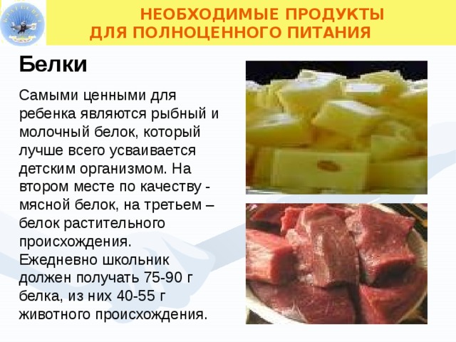  НЕОБХОДИМЫЕ ПРОДУКТЫ  ДЛЯ ПОЛНОЦЕННОГО ПИТАНИЯ Белки Самыми ценными для ребенка являются рыбный и молочный белок, который лучше всего усваивается детским организмом. На втором месте по качеству - мясной белок, на третьем – белок растительного происхождения. Ежедневно школьник должен получать 75-90 г белка, из них 40-55 г животного происхождения.  