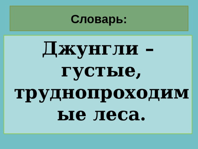 Словарь: Джунгли – густые, труднопроходимые леса. 