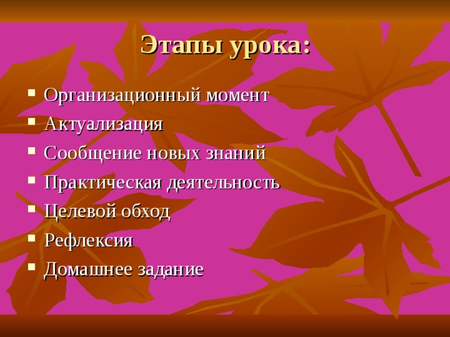 Этапы урока : Организационный момент Актуализация Сообщение новых знаний Практическая деятельность Целевой обход Рефлексия Домашнее задание 